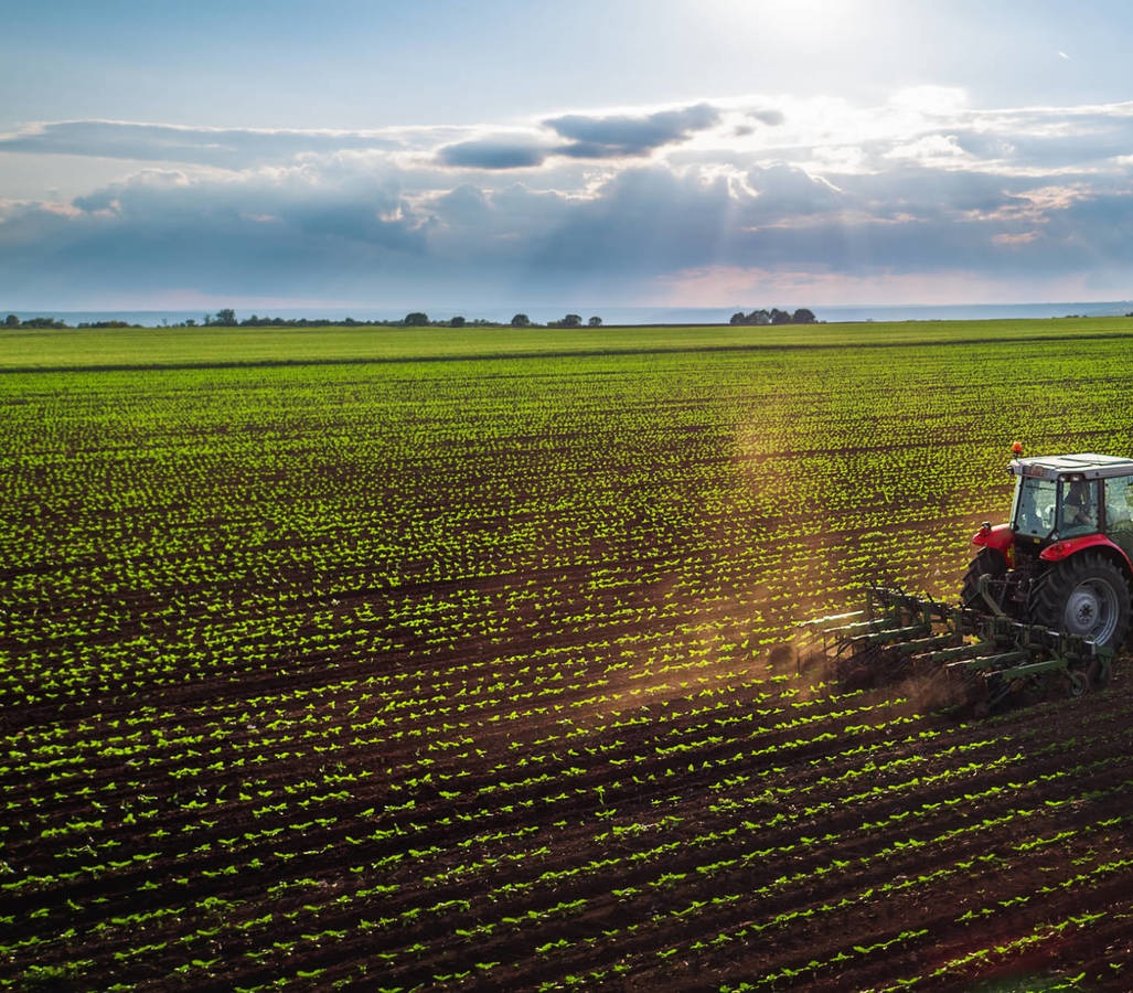 tractor cuadricula
